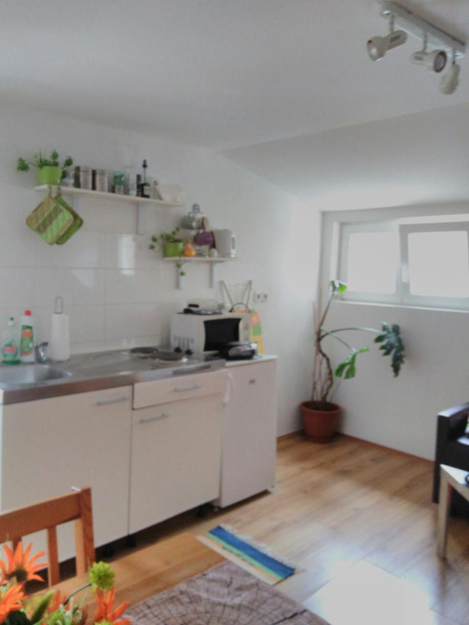 Nest Apartment 1