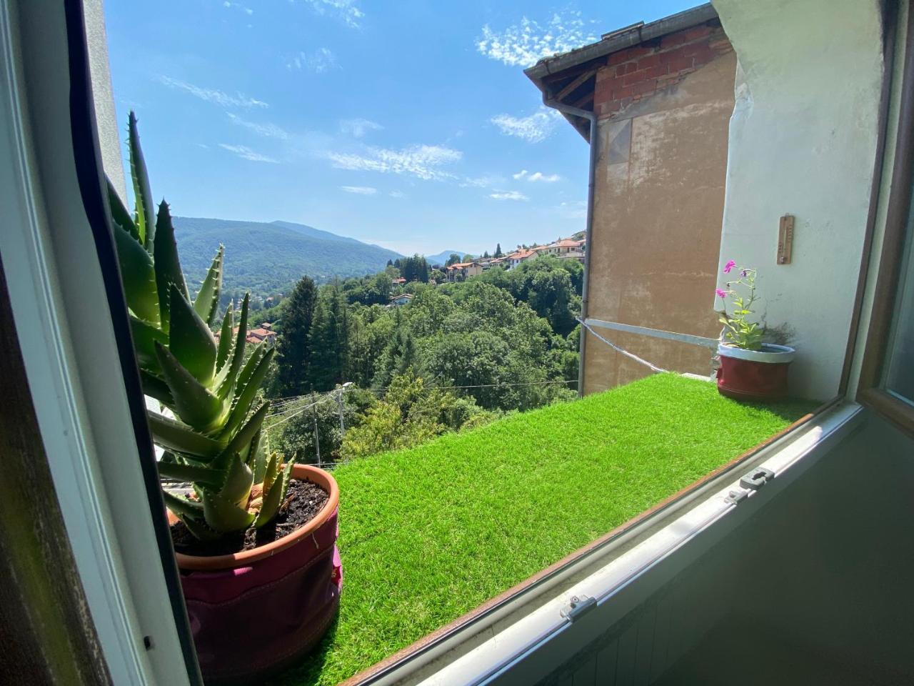 Apartment Alina 1