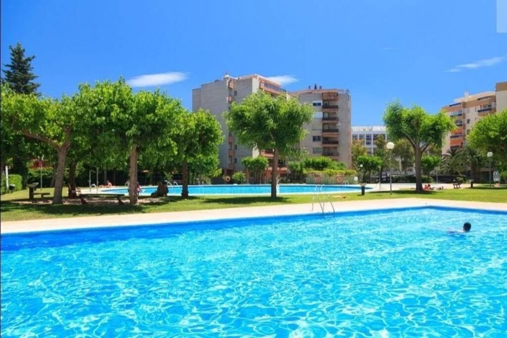 Palm Mediterrani