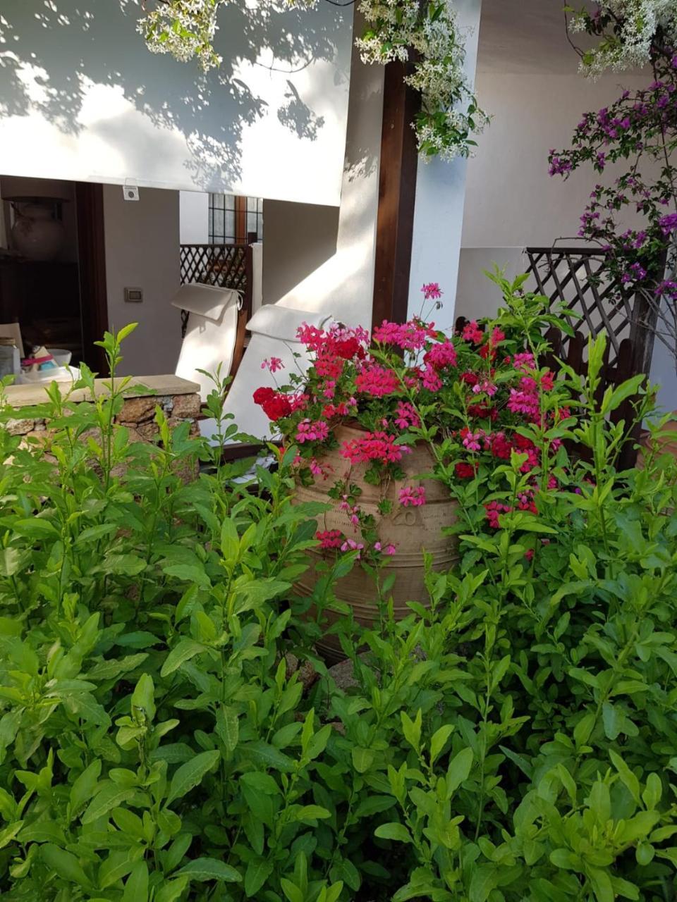 Casa Vacanza Trilocale Da Gigi E Antonella