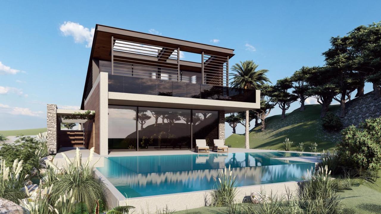 Casa Palmera