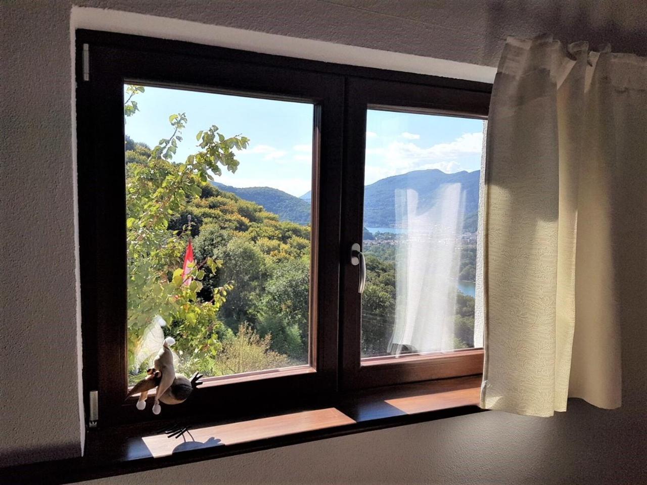 Collinetta di Montagnola 2
