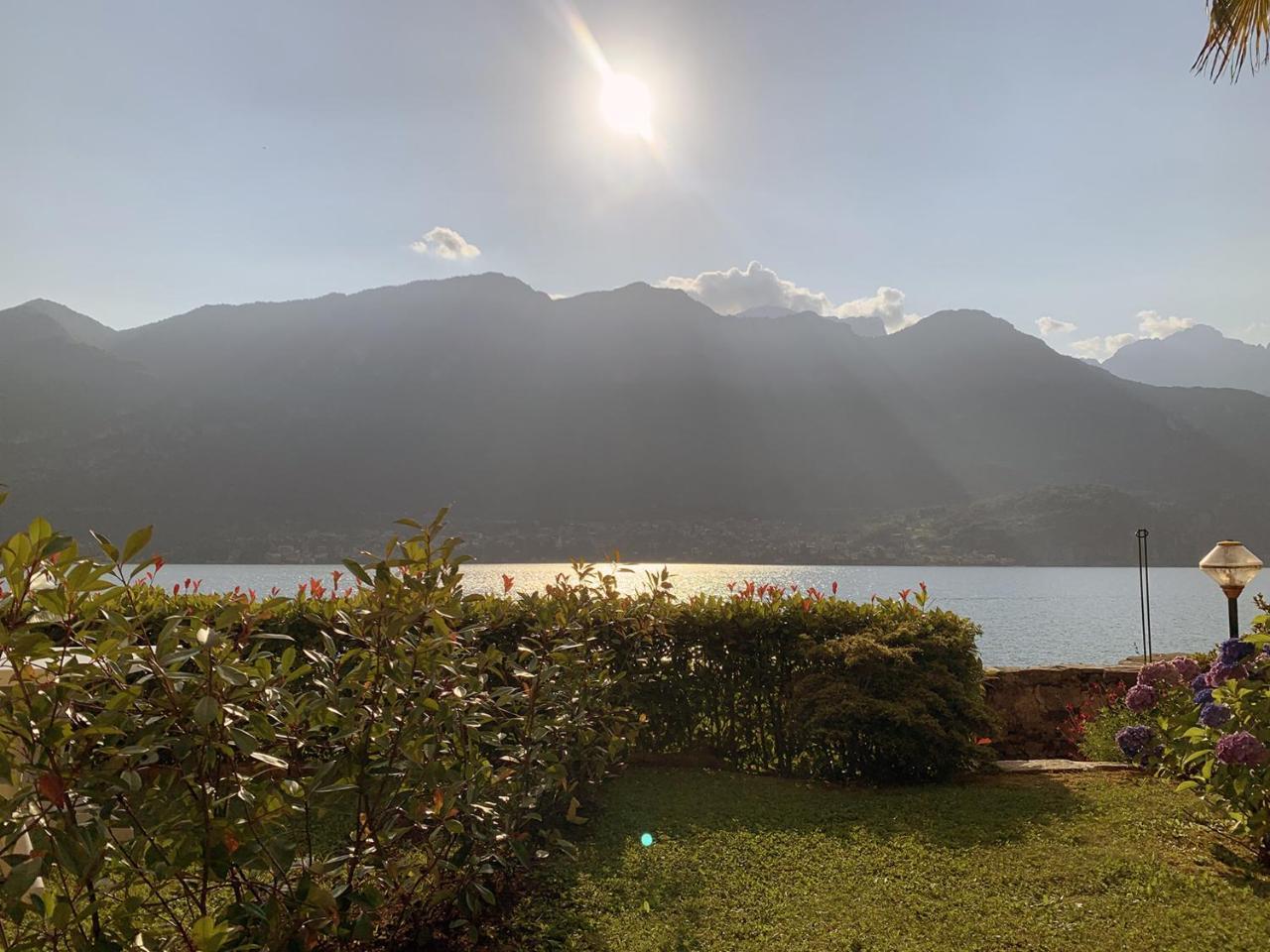 Terrace on the Lake 2