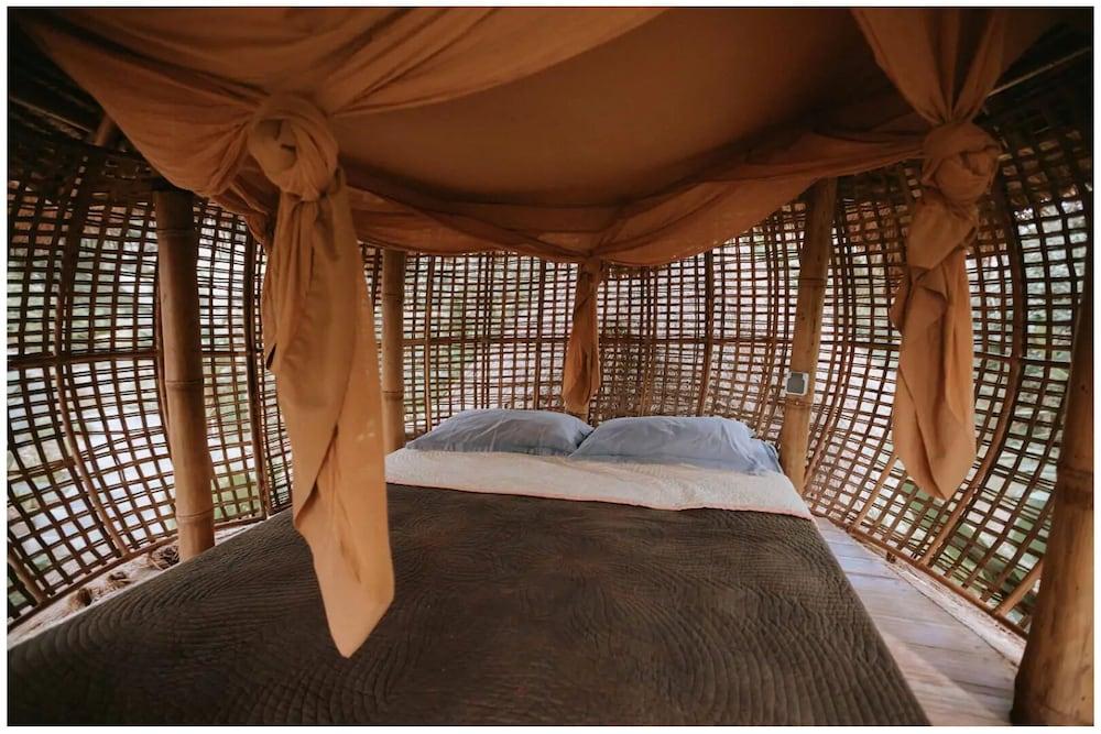 Firefly Eco Lodge 2
