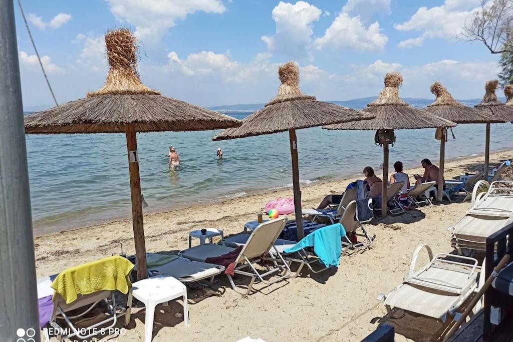 Panorama Sea Esta 1 Bedroom with Sea View