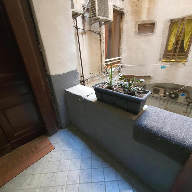 Napolix Centro, Intero Appartamentino, Casa Vacanze, Suite Tricamere Nel Cuore di Napoli