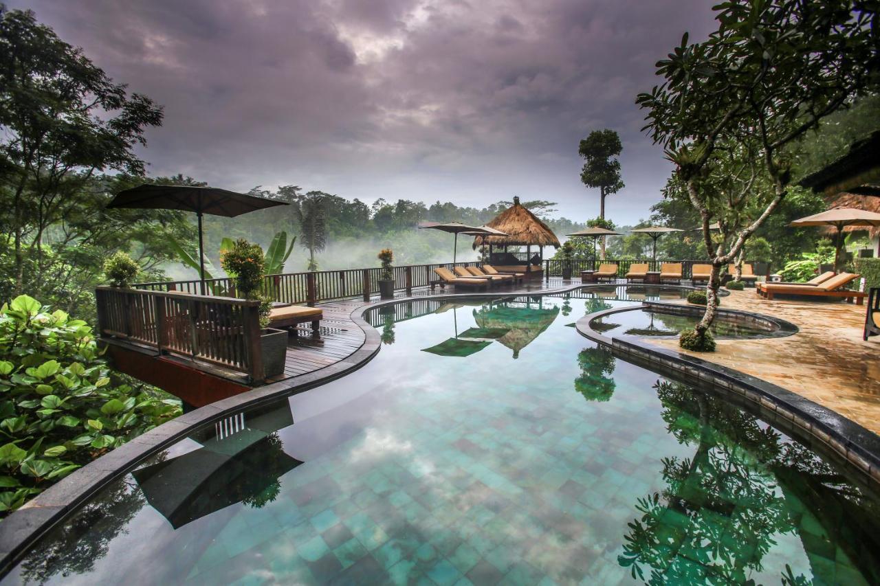 Nandini Jungle by Hanging Gardens