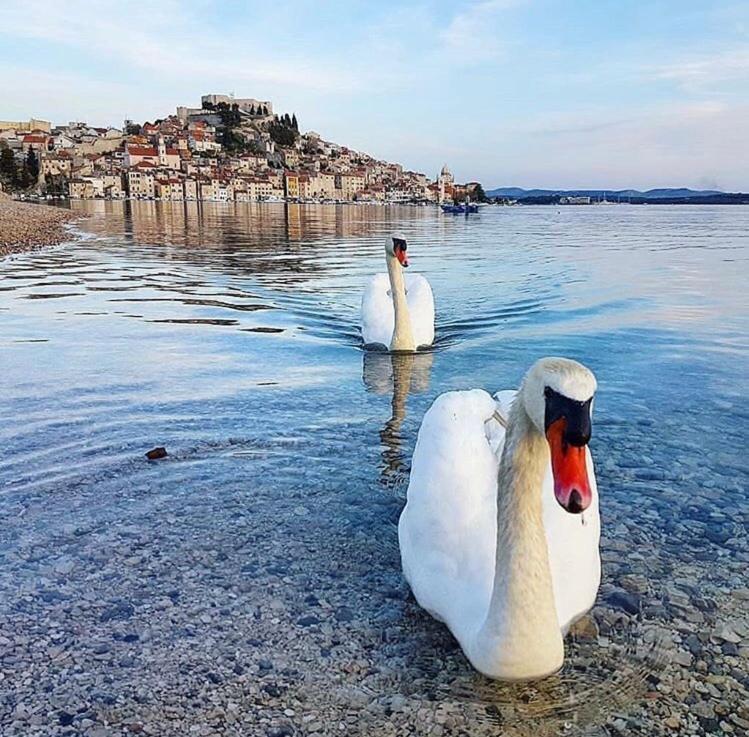 Sibenik Antique Studio Apartment - Old Town 2