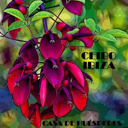 Ceibo Guest House Ibiza