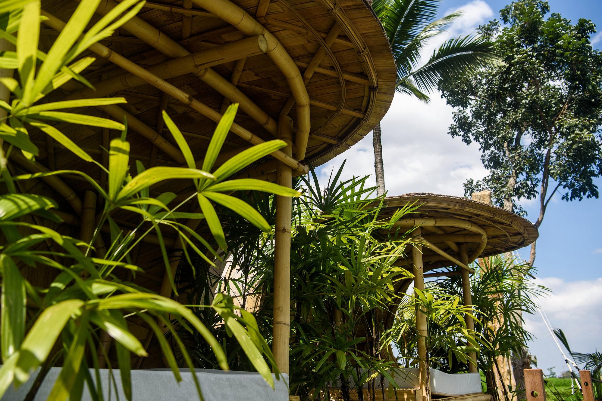 Kappa Senses Ubud 1