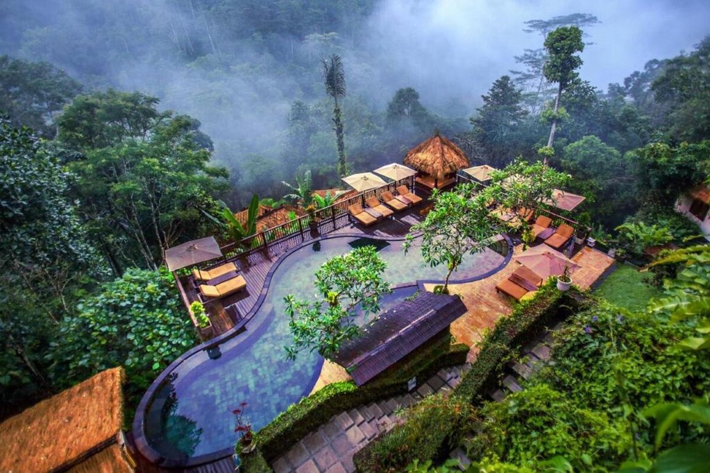 Nandini Jungle by Hanging Gardens 1